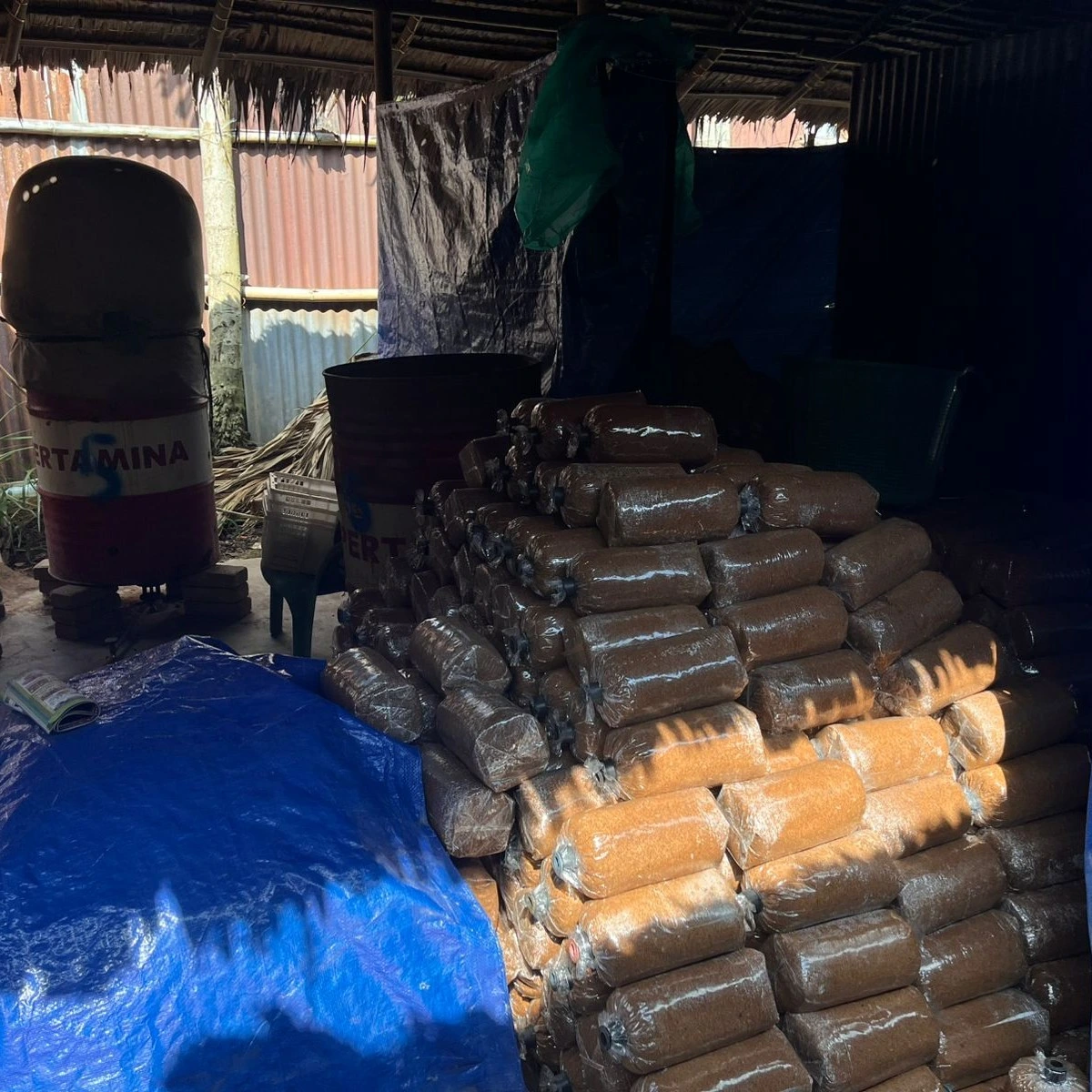 Pemasangan Cincin Pada Baglog